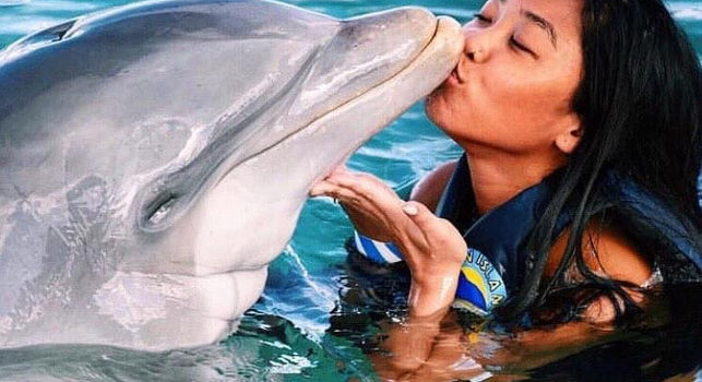 Dolphin Island Punta Cana - dolphin interaction with Funymar