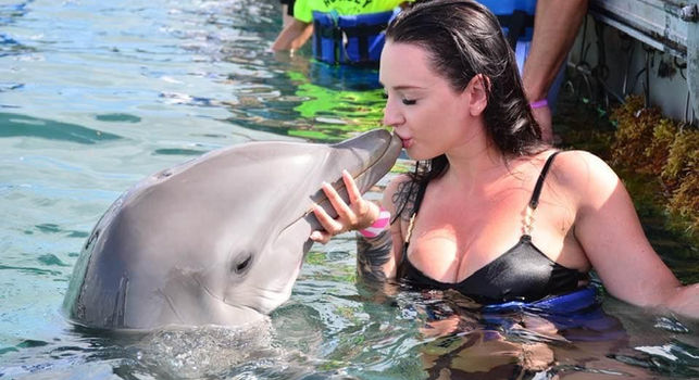 Dolphin Island Punta Cana - fun day at the dolphin park