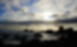 The Pacific.