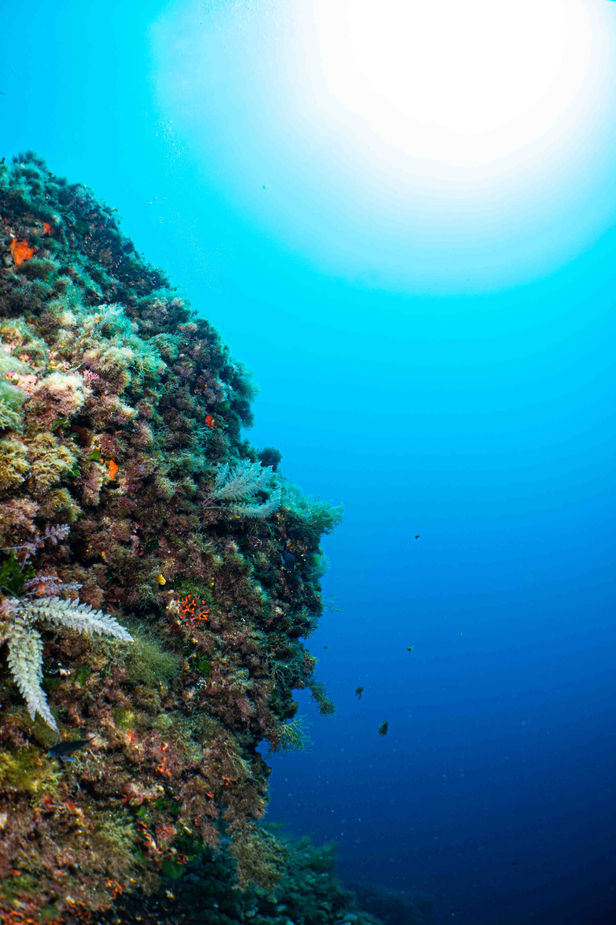 Underwater Photography Spain