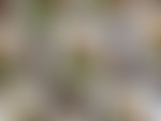 2017.09.26 ハーブベジごはん教室(プライベートレッスン兵庫)