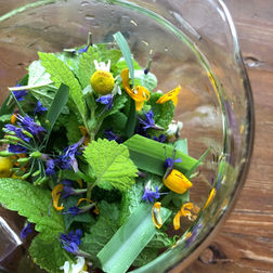 2021.07.29(木)/09.09(木)“フレッシュハーブの楽しみ方 ハーブの使い方とレシピ”(NHK文化センター梅田)