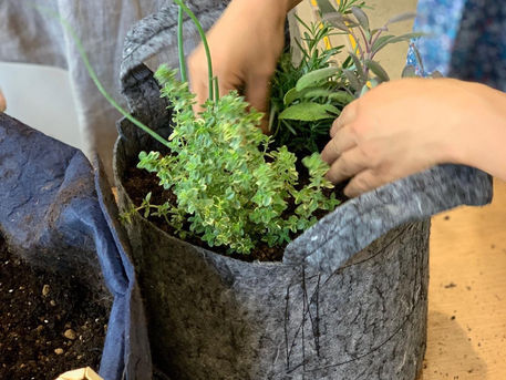 2019.05.23/06.03ハーブの寄せ植え(無印良品天神)