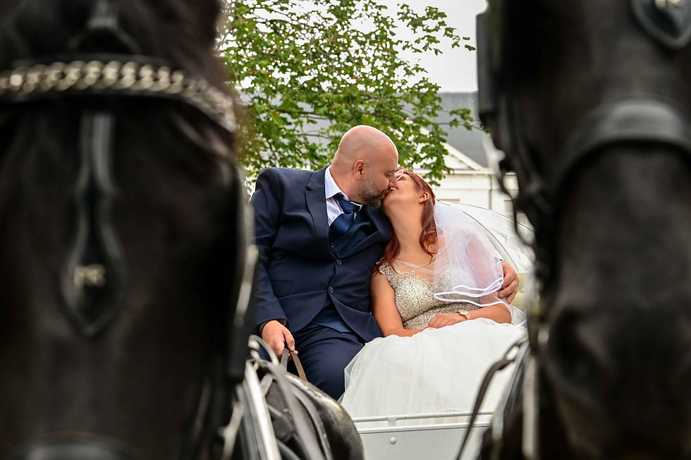 Fotomoment met de paarden en koets (Sint-Michielskasteel te Sint-Katelijne-Waver)