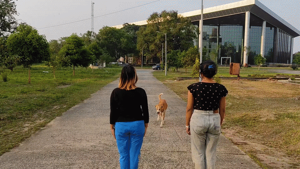 ezgif.com-gif-maker (9).gif