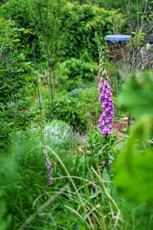 DSC_0005-01.jpeg