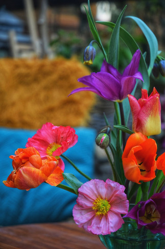 DSC_0781-01.jpeg