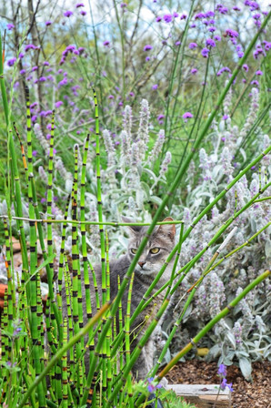 DSC_0327-01.jpeg