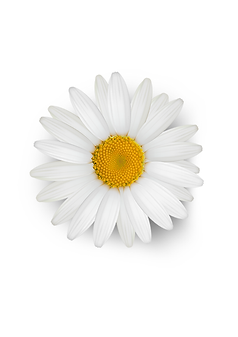 1 (5).png