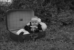 Fiona Dakin Photography