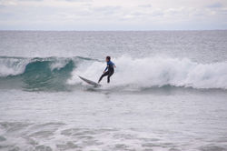 Fiona Dakin Photography Sports