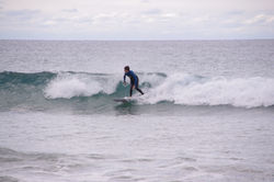 Fiona Dakin Photography Sports