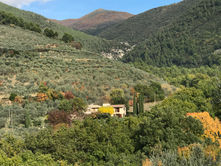 New Substack Story: THE KIDS