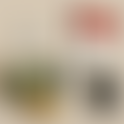 Understanding Singapore’s Corporate Income Tax (CIT) Rebate