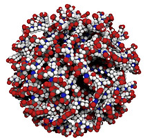 phosphine in tail sphere.jpg