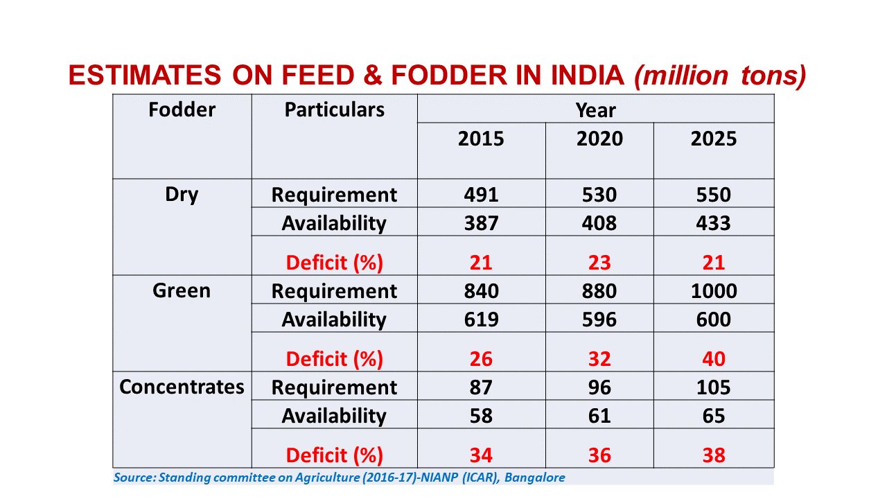 FEEDING MANAGEMENT OF DAIRY CATTLE PART3