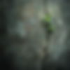 u4635836531_gritty_rugged_wall_image._Hyper_realistic_photo.__6470f855-e300-4bb7-8afe-bd02