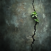 u4635836531_gritty_rugged_wall_image._Hyper_realistic_photo.__6470f855-e300-4bb7-8afe-bd02