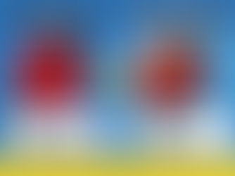 Corte de vinil vs impresión en vinil