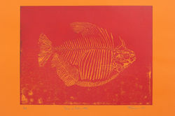 petisco de baleia 06