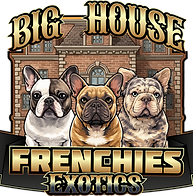 Big House Frenchies Big House Frenchies logo – French Bulldog puppies for sale breederlogo