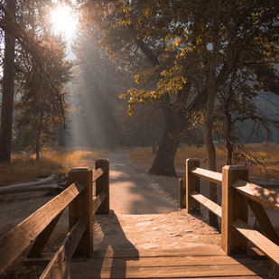 The Controversy Around IFS Therapy: A Closer Look