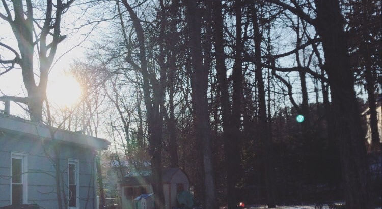 Through the trees