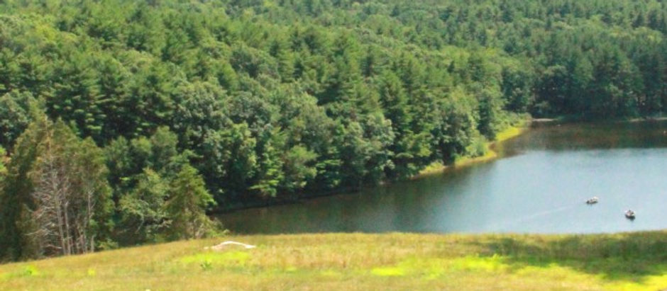 { love is this simple }