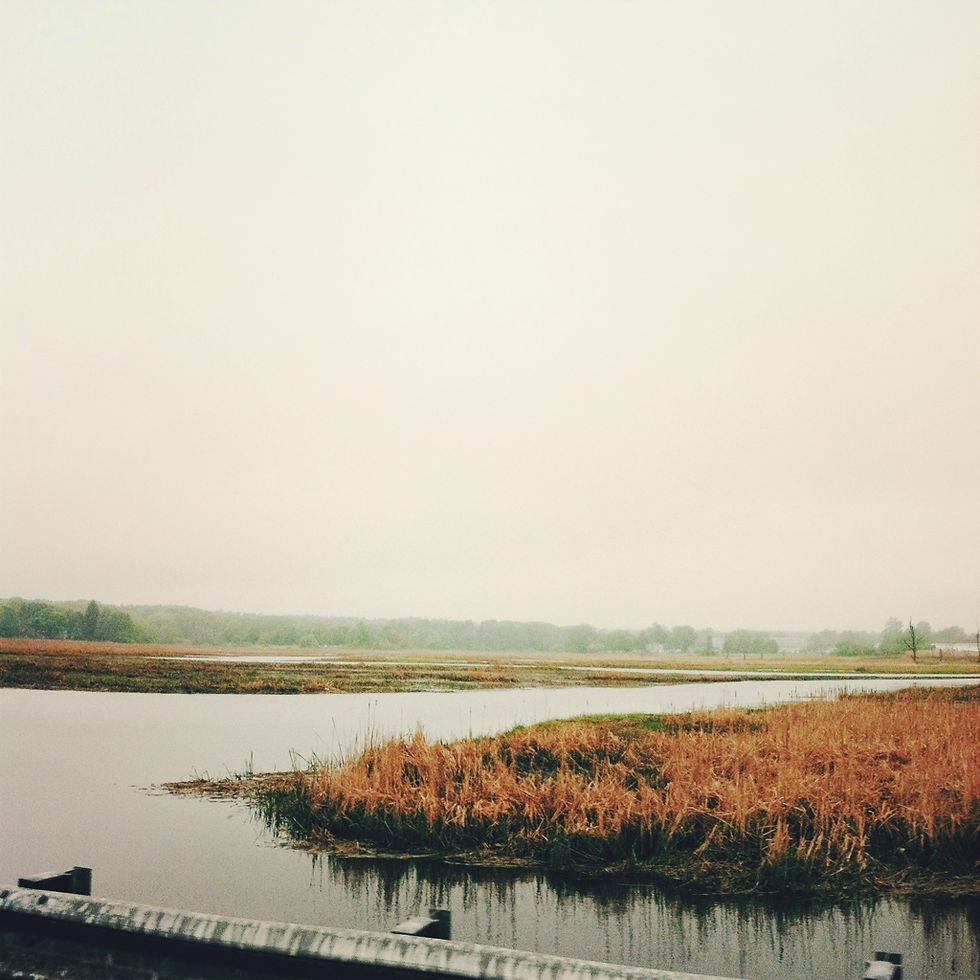 20140527-153310.jpg