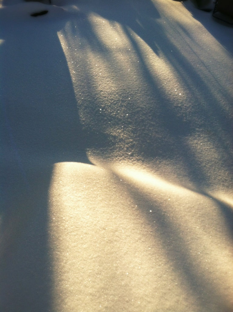 20140206-080907.jpg