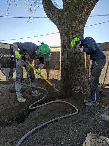 Arboristi a air spade