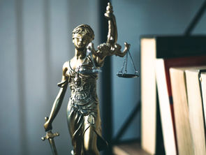 Judicial Review Success