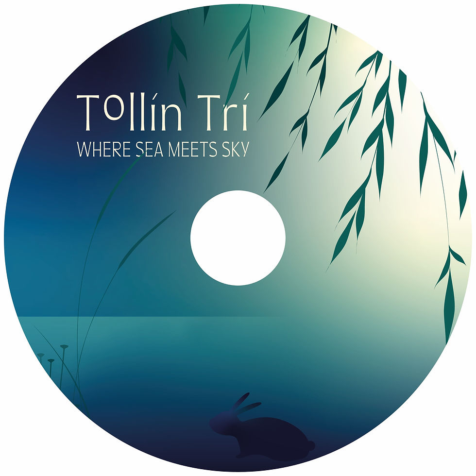 Summer Concert and CD launch with Tollín Trí