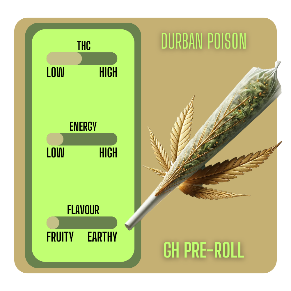 Durban Poison Green House Pre-Roll