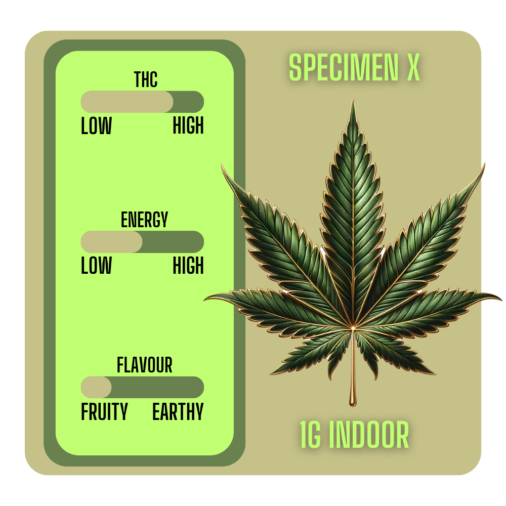 Specimen X 1g Indoor