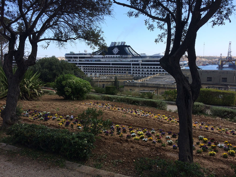 Le MSC Fantasia