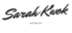 Website Templates - 980 X 450 banner (1)