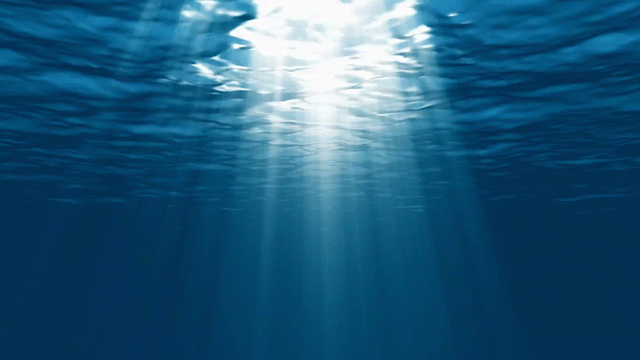 Motion Graphics GIF.gif