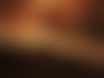 Confidence as a Conduit of Consciousness