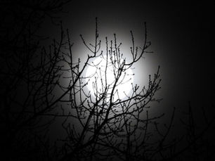 Concealment and Revelation: The Beauty of the Dark Season