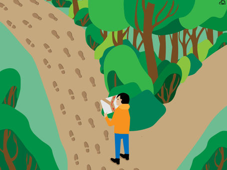 How affected are we by Cultural Phenomena? The Bandwagon Effect