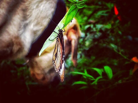 Kiss Of Life!