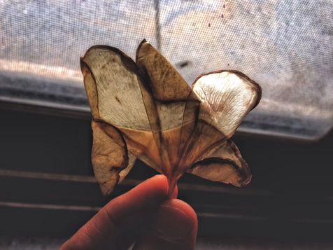 I'll Be That Poetry!