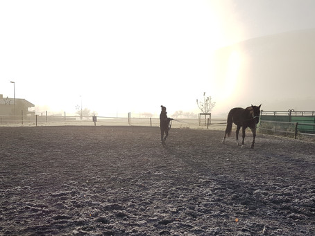 Winterzauber