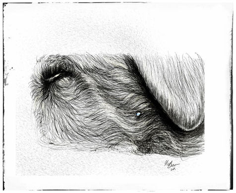 To those Few Tears Drops, that lay on Cocos cheeks....