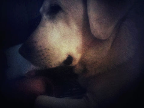 When You Beckon Love....