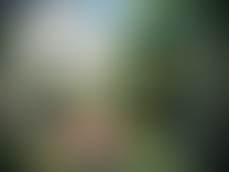 To that Garden within my heart where his flowers grow!