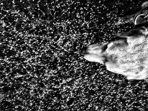 Stars came sprinkling down!