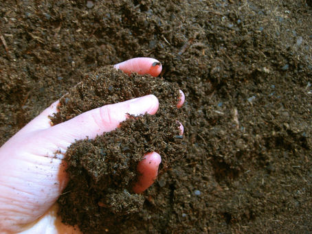 What Is Healthy Garden Soil?