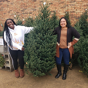 christmas-tree-donation_13-x.jpg
